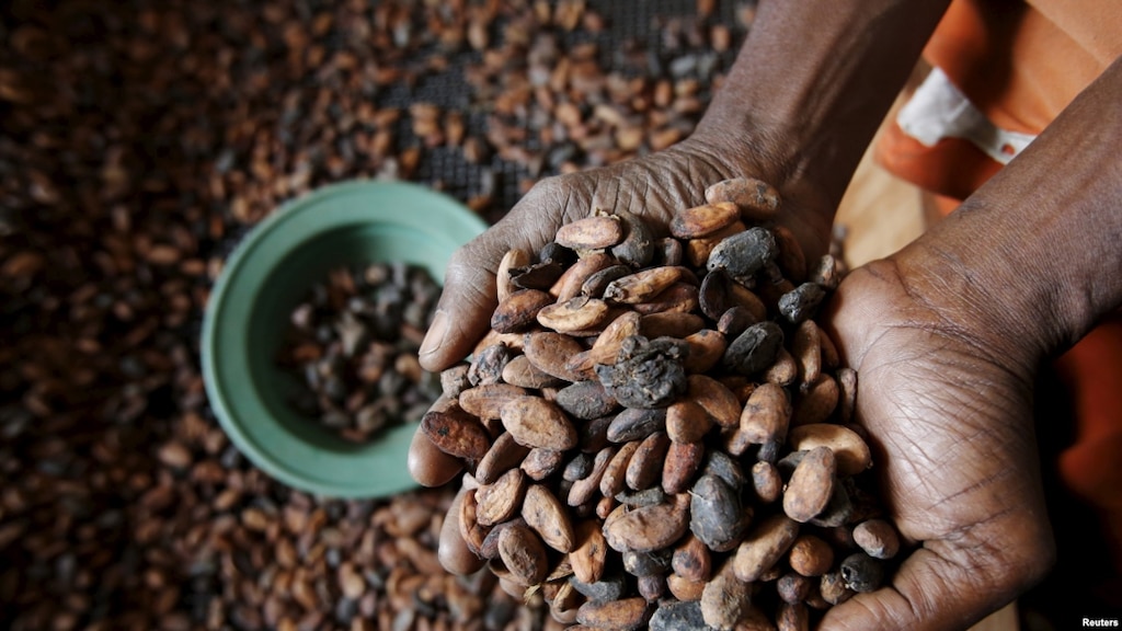 RDC : Le ministère du Commerce extérieur supprime une taxe illégale sur le cacao-café